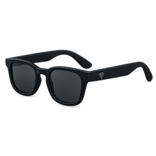Sunglasses with Audio